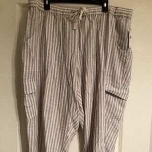 NWT Sanctuary x Anthro striped cargo ankle pants